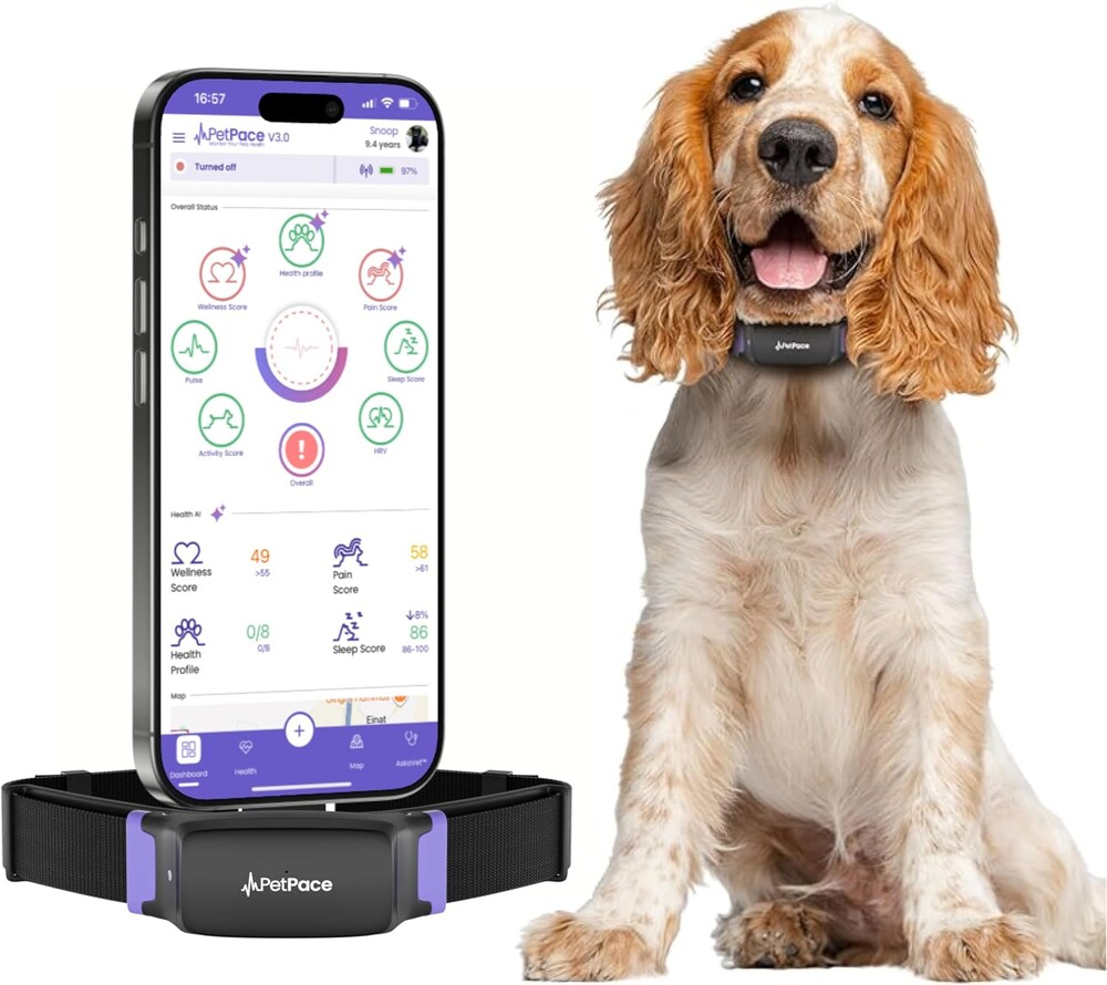 V3.0 Dog Health Monitor – AI Health Collar with 24/7 Vital Signs Tracks Pain GPS, Telehealth AskaVet & Share with Your Vet & Apple Watch Sync – Subscription Required (Medium)