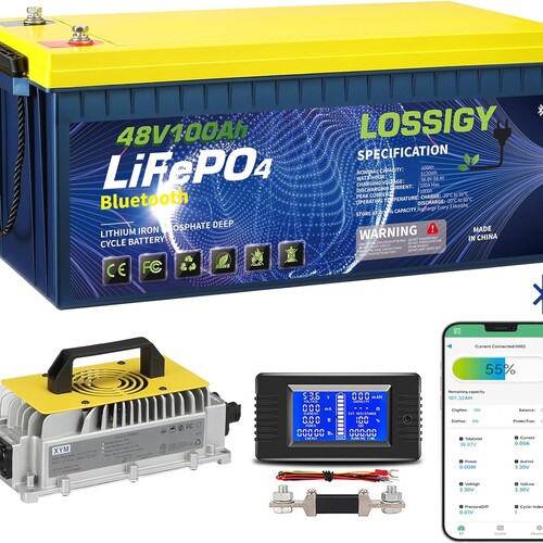 LOSSIGY 48V Lithium Golf Cart Battery with 18A Lithium Charger, 48 Volt 100Ah LiFePO4 Battery, Built in 200A Bluetooth BMS & LCD 10.24kW Output, Peak Current 1000A(3-5s), Prefect for RV Solar System