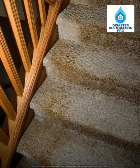 Water Damage Restoration - Broward Disaster Restoration Pro