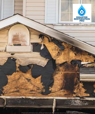 mold remediation cost