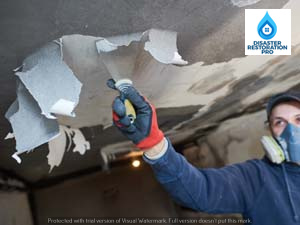 Mold Remediation Cost