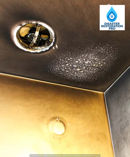 Fire Damage Restoration