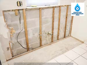 Mold Remediation