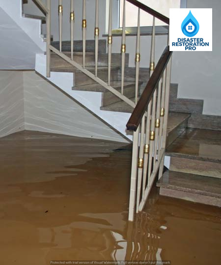 Broward Disaster Restoration Pro Water Damage Restoration