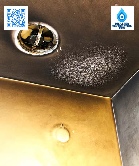 Fire Damage Restoration