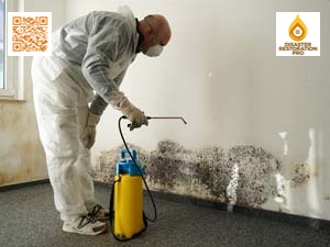 Mold Remediation Cost