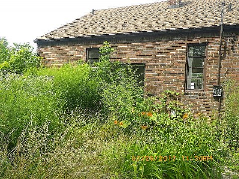 RIMG0854_m.JPG