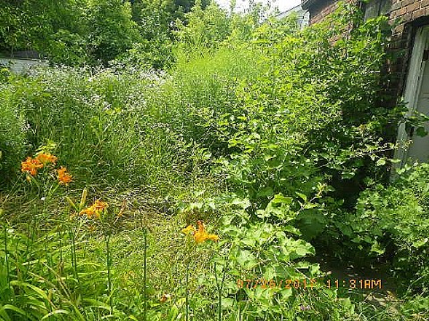 RIMG0856_m.JPG
