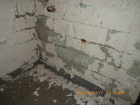 RIMG0868_m.JPG
