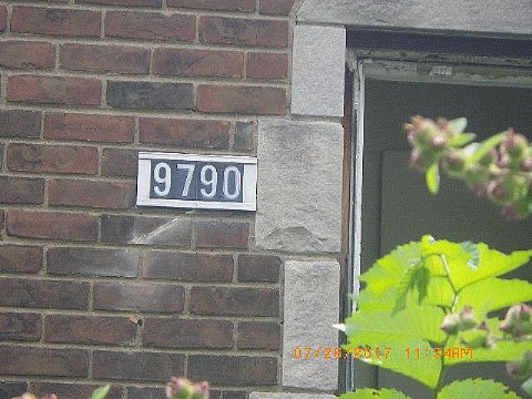 RIMG0872_m.JPG
