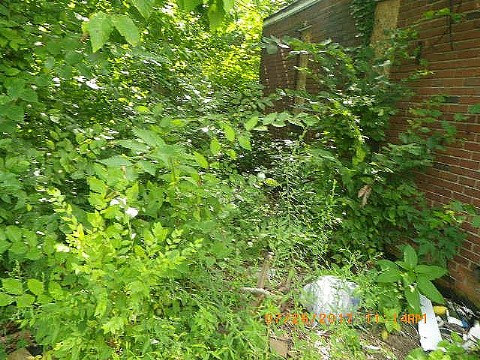 RIMG0830_m.JPG