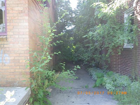 RIMG6403_m.JPG