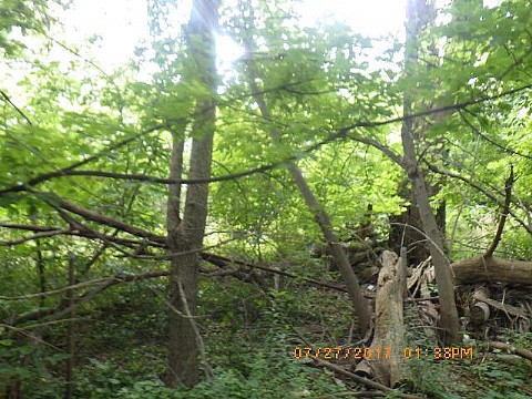 RIMG0432_m.JPG