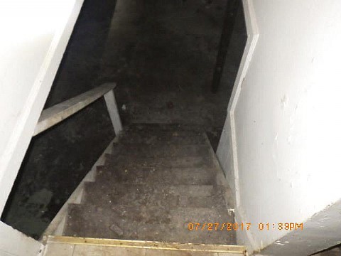 RIMG0445_m.JPG