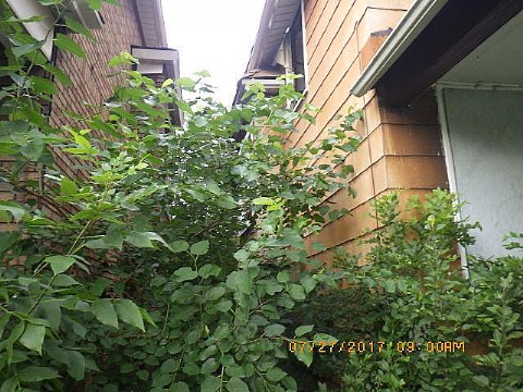RIMG0034_m.JPG