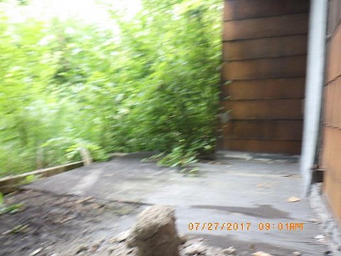 RIMG0037_m.JPG