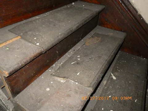 RIMG0055_m.JPG