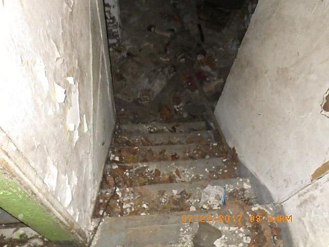 RIMG0067_m.JPG