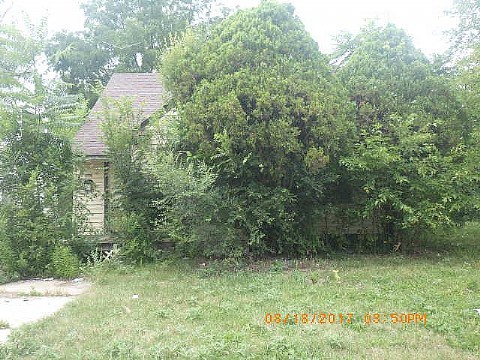 RIMG0988_m.JPG