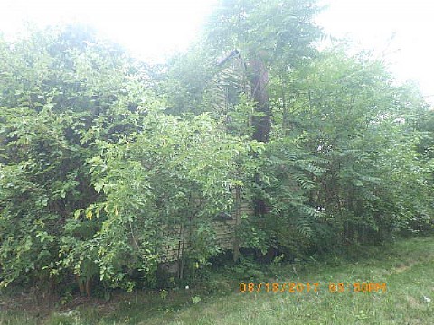 RIMG0989_m.JPG