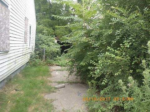 RIMG0991_m.JPG