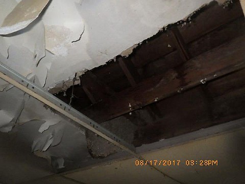 RIMG0128_m.JPG