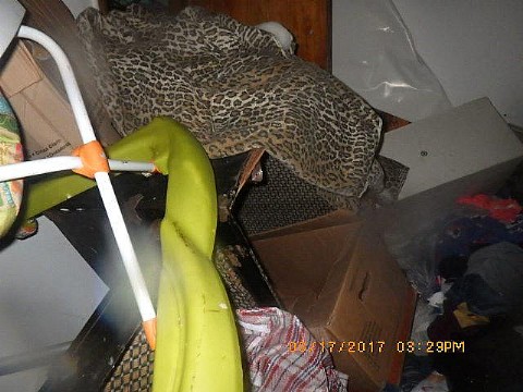 RIMG0136_m.JPG