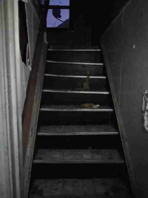 4266989_0039.jpg
