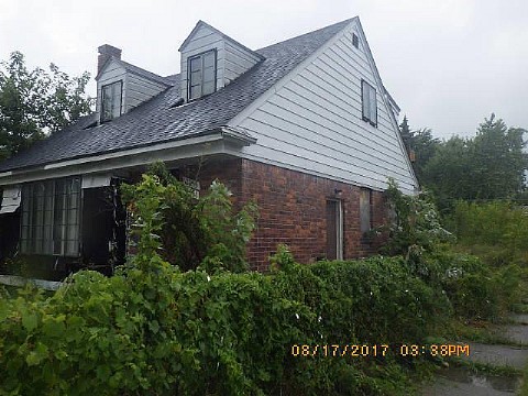 RIMG0149_m.JPG