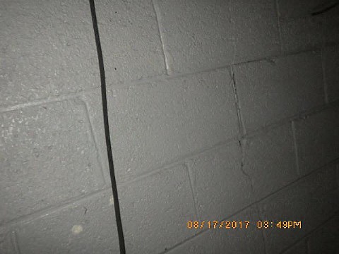 RIMG0165_m.JPG