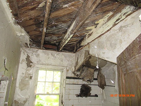 IMG_0639_m.jpg