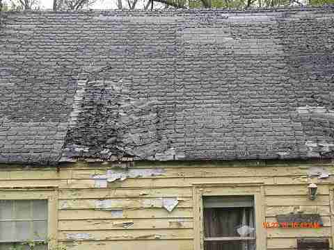 IMG_1566_m.jpg