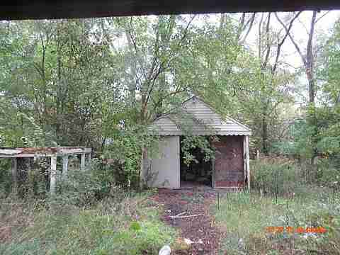 IMG_1571_m.jpg