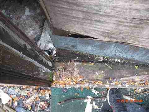 IMG_1575_m.jpg
