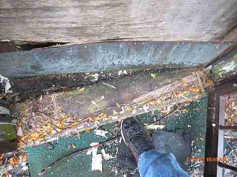 IMG_1576_m.jpg