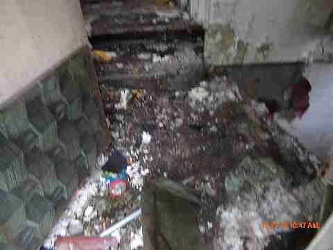 IMG_1582_m.jpg