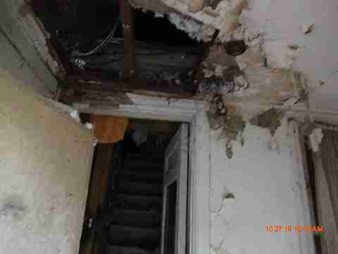 IMG_1584_m.jpg