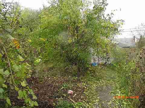 IMG_3990_m.JPG