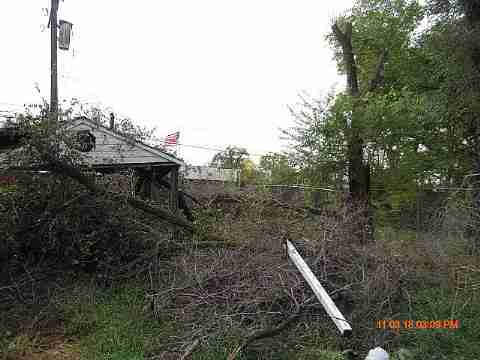 IMG_2452_m.JPG