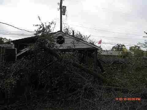 IMG_2453_m.JPG