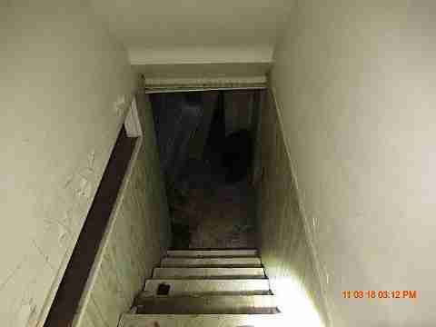 IMG_2462_m.JPG