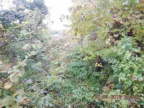 DSCN3498_m.JPG