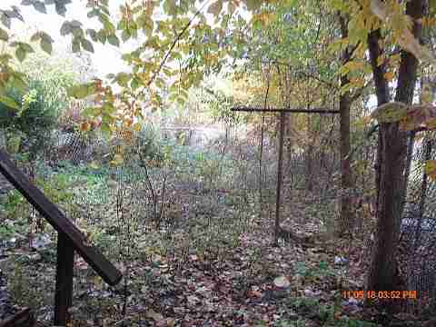 IMG_3549_m.JPG