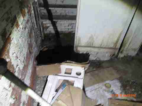 IMG_3559_m.JPG