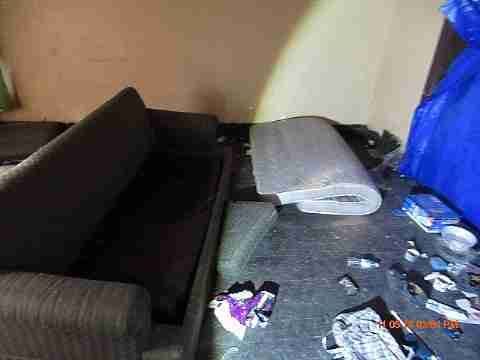 IMG_3575_m.JPG