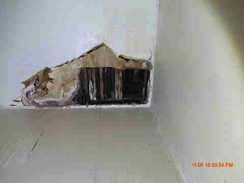 IMG_3576_m.JPG