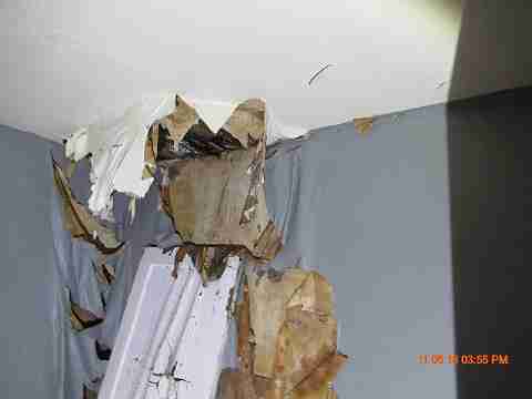 IMG_3588_m.JPG