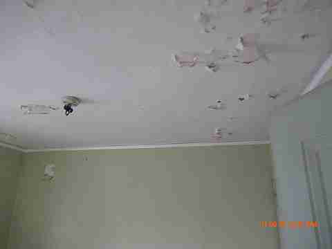 IMG_3877_m.JPG