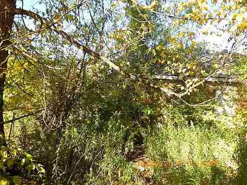 RIMG8671_m.JPG