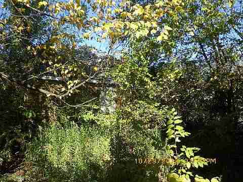 RIMG8672_m.JPG
